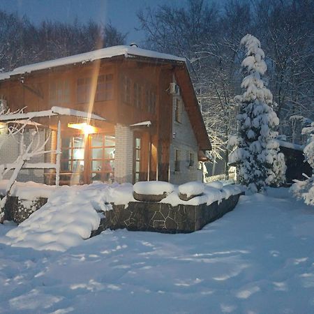 Villa Ema サラエヴォ エクステリア 写真