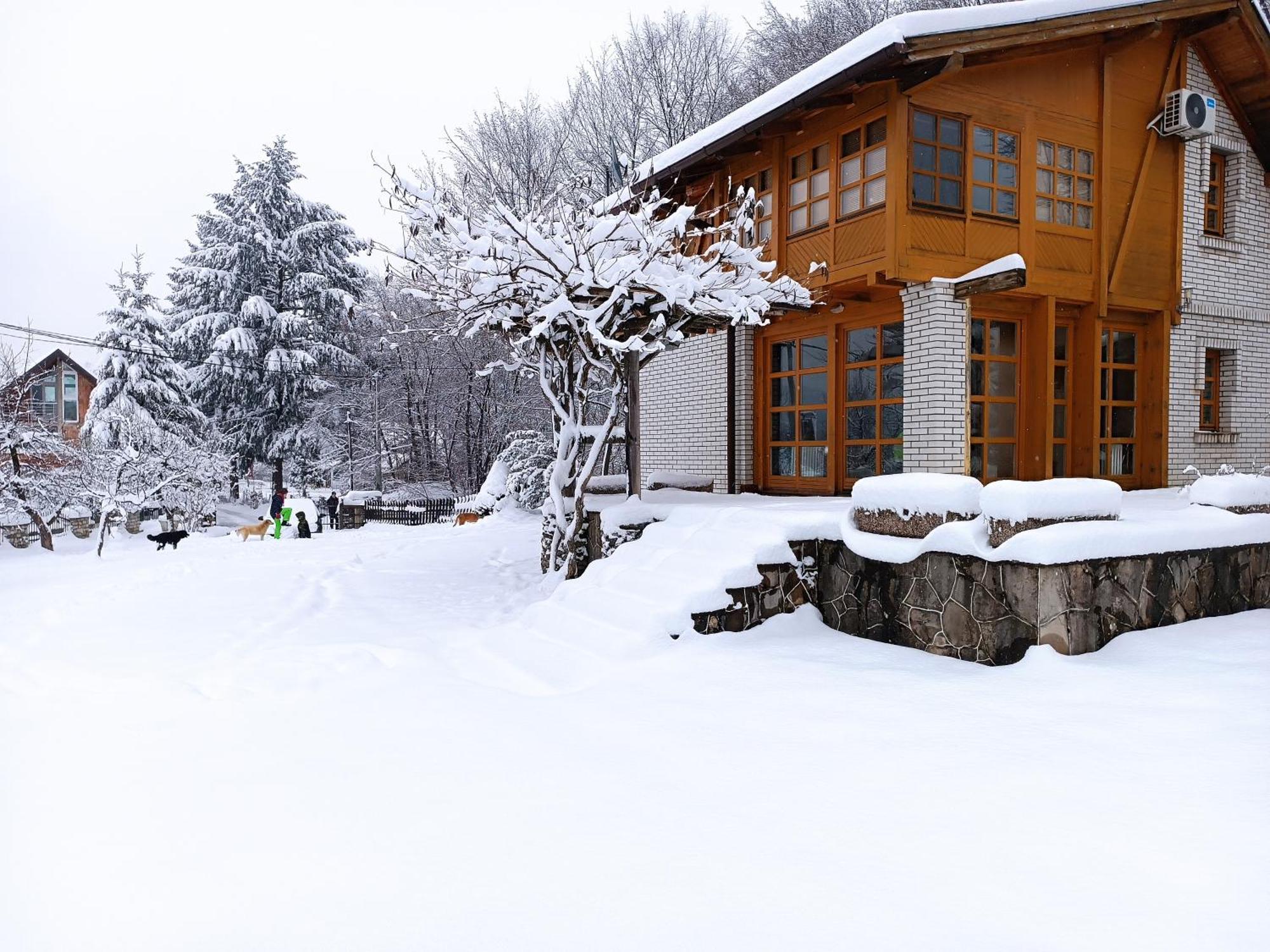 Villa Ema サラエヴォ エクステリア 写真